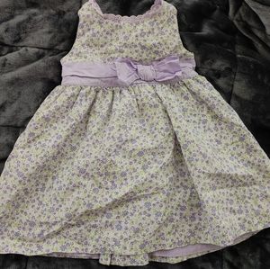 Carter's dress with nickers